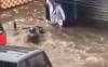 Banjir Bandang Terjang Jalan Raya Pujon Malang, Pengendara Motor Terseret 