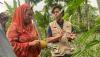 Yenny Wahid Dapat Pesan Khusus dari Petani Nanas Pemalang untuk Ganjar-Mahfud