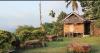 Kampung Unik di NTT Ada Desa Tradisional, Suasananya Masih Alami dan Warga Hidup Bahagia