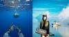 Penyelam Profesional Ungkap Rahasia Selamatkan Diri jika Bertemu Hiu saat Diving