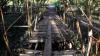 Objek Wisata Mangrove Singkawang Telantar, Fasilitas Rusak Tak Diperbaiki
