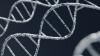 Terobosan Baru, Ilmuwan Bisa Bikin DNA Buatan