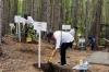 Presiden Joko Widodo Kunjungi Pembangunan Miniatur Hutan Hujan Tropis di Ibu Kota Nusantara 