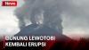  Gunung Lewotobi Erupsi Lagi Pagi Ini, Semburkan Abu Vulkanik Setinggi 1.500 Meter 