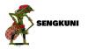 Arti Kata Sengkuni dalam Bahasa Gaul, Sering Digunakan sebagai Julukan untuk Tokoh Politik