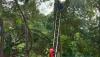 Disengat Tawon, Balita di Bogor Meninggal
