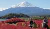Pendaki Gunung Fuji Jepang Bakal Dikenakan Tarif Rp200.000-an, Ini Alasannya