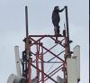 Bandung Geger, Pria Stres Panjat Tower 20 Meter Diduga Hendak Bunuh Diri
