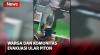 Warga dan Komunitas Evakuasi Ular Piton yang Melilit di Atap Rumah