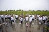 Pertamina EP dan SKK Migas Tanam Bibit Mangrove di Pesisir Cirebon - Bagian 1