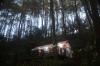 Glamping Menikmati Pesona Alam Hutan Pinus Purworejo di Ketinggian 850 Mdpl - Bagian 2