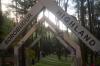 Glamping Menikmati Pesona Alam Hutan Pinus Purworejo di Ketinggian 850 Mdpl - Bagian 3