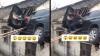 Usai Pengendara Motor Timpa Atap Rumah Warga, Giliran Mobil CR-V Mendarat di Atas Genteng