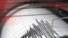 Gempa Bumi M4,9 Guncang Kodi Sumba Barat Daya NTT, Getaran Terasa hingga Bima