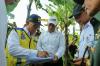 Cek Area Pompanisasi, Mentan Amran: Ini Jawaban Tingkatkan Produksi di Tengah El Nino