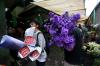 Memborong Ragam Jenis Bunga untuk Hiasan Rumah Jelang Idulfitri - Bagian 4