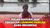 Mentan Ungkap Pulau Madura Bisa jadi Kekuatan Lumbung Pangan Baru Indonesia