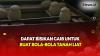 Viral! Wanita di Deli Serdang Kumpulkan Bola-Bola dari Tanah Liat di Dalam Rumah selama 10 Tahun