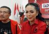 Krisdayanti Mendadak Mundur usai Dapat Rekomendasi PDIP Maju di Pilkada Batu 2024, Kenapa?