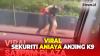 Pengelola Plaza Indonesia Putus Kerja Sama Vendor Buntut Viral Sekuriti Aniaya Anjing K9