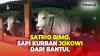 Jokowi Beli Sapi Kurban dari Peternak di Bantul, Diberi Nama Satrio Bimo Seberat Hampir 1 Ton