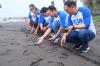 Dukung Konservasi Penyu di Bali - Bagian 2