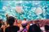 Momen Anak Pesisir Ikuti Wisata Edukasi Mengenal Biota Laut  - Bagian 1