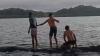 Viral Paus Raksasa Muncul di Perairan Misool Raja Ampat, Main dengan Para Pemuda di Laut