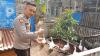 Kisah Sukses Polisi di Asahan Ternak Entok Jumbo, Setiap Bulan Terjual Ratusan Ekor