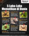 Infografis 5 Laba-Laba Mematikan di Dunia