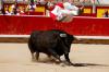 Aksi Recortador Lebih Gila dari Matador Spanyol Taklukkan Banteng - Bagian 1