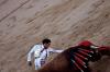 Aksi Recortador Lebih Gila dari Matador Spanyol Taklukkan Banteng - Bagian 2