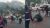 Viral Mahasiswa Banting Polisi sampai Kepala Bocor saat Demo Tolak Tapera di Makassar
