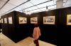 Pameran Foto Perjalanan 5 Tahun DPR Periode 2019-2024 - Bagian 1