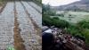 Viral Singgah ke Dieng Bisa Lihat Embun Es Tebal, Suasananya seperti di Luar Negeri 