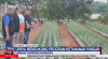 Manfaatkan Tanah Kosong, Warga di Depok Budi Daya Bawang