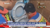 Detik-Detik Evakuasi Ular Muncul dari Toilet saat Digunakan