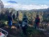 Bukit Kingkong Gunung Bromo Terbakar, Puluhan Personel Dikerahkan Padamkan Api