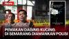 Viral Bapak Kos di Semarang Doyan Makan Daging Kucing, Berdalih untuk Pengobatan Diabetes