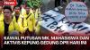 Peringatan Darurat Indonesia Menggema, BEM UI Kerahkan Ribuan Mahasiswa Bergerak ke DPR RI