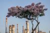 Kilang Cilacap Dukung Ketahanan Energi Nasional Berkelanjutan - Bagian 1
