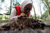 Kelompok Tani Hutan Trigona Reborn Sukses Produksi Madu Kelulut - Bagian 2