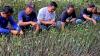 MNC Peduli-Hotel Golden Tulip Springhill Lampung Bantu Berdayakan Petani Mangrove