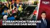Detik-Detik Pohon Tumbang Timpa Mobil dan Motor di Malang, Suami Istri Tewas Anak Selamat