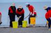 4.500 Puntung Rokok hingga 232 Kg Sampah Dikumpulkan dari Pantai Tanjung Pasir - Bagian 1