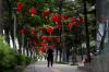 Lampion Berwarna Merah Bergelantungan Hiasi Jalan Jenderal Sudirman Jakarta - Bagian 4