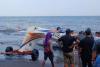 Pesawat Latih API Jatuh di Pantai Gumuk Kantong Banyuwangi, Begini Kondisi 2 Kru