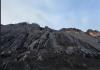 Daftar 15 Pendaki Puncak Carstensz Papua, Dua Meninggal Dunia