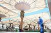 Suhu di Madinah Capai 41 Derajat Celsius, Jemaah Haji RI Diimbau Waspadai Gejala Dehidrasi hingga Heat Stroke