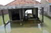 Potret Desa Timbulsloko Tenggelam Tergerus Abrasi dan Banjir Rob - Bagian 4